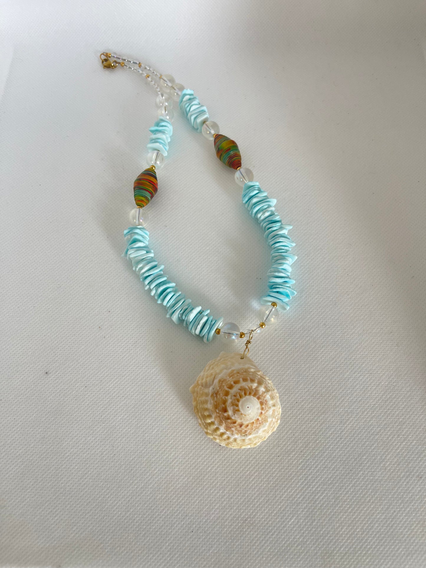 Caracola caribeña